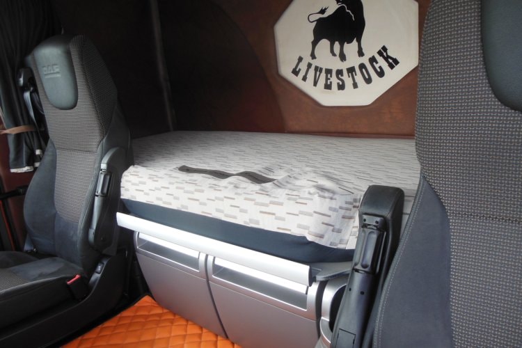 Daf XF 106.460 SSC, 6x2, Retarder, Lifting + Steering Axle